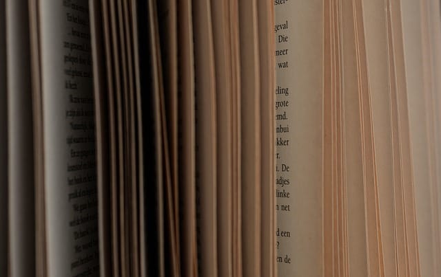 El maestro Luis de Lion